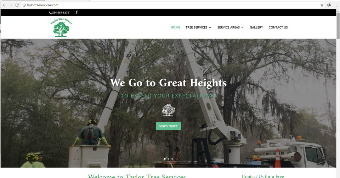 Taylor Tree Service, Prattville AL Online Marketing with BOOM